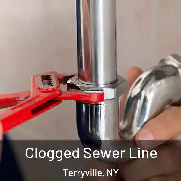 Clogged Sewer Line Terryville, NY