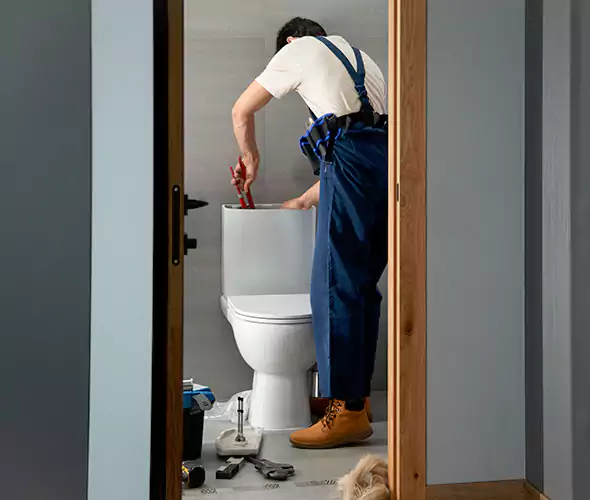 Professional Plumbers for Toilet Bowl Replacement in Terryville, NY: Schedule Affordable Toilet Replacement Services With Us