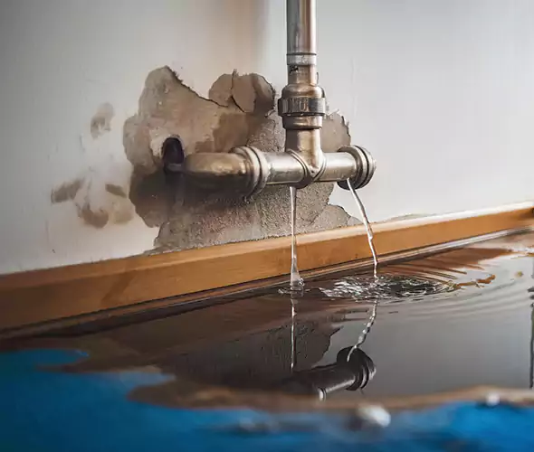 Professional Water Damage Restoration Experts in Terryville, NY — Fast, Reliable & Certified