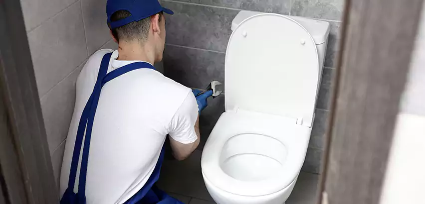 Toilet Lid Replacement in Terryville