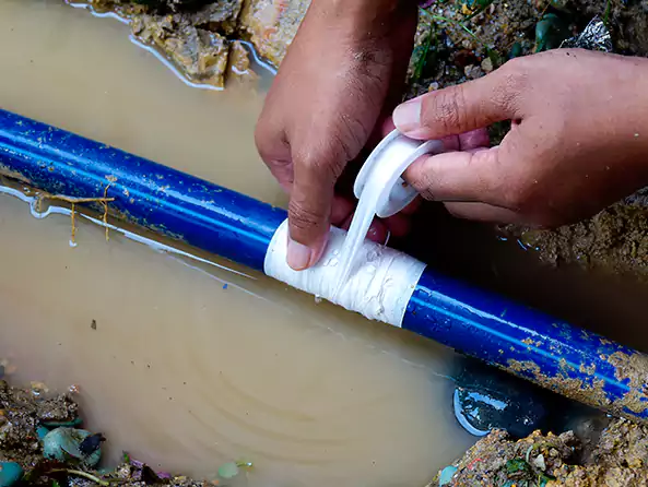  Why Choose Terryville Plumbing for Leak Detection in Terryville, NY?]