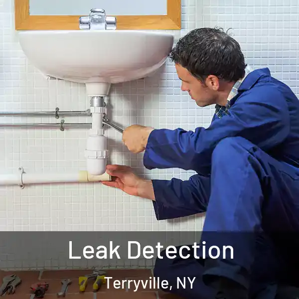  Leak Detection Terryville, NY