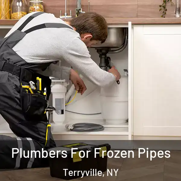  Plumbers For Frozen Pipes Terryville, NY
