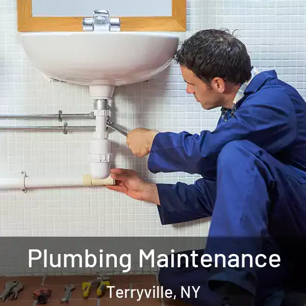  Plumbing Maintenance Terryville, NY