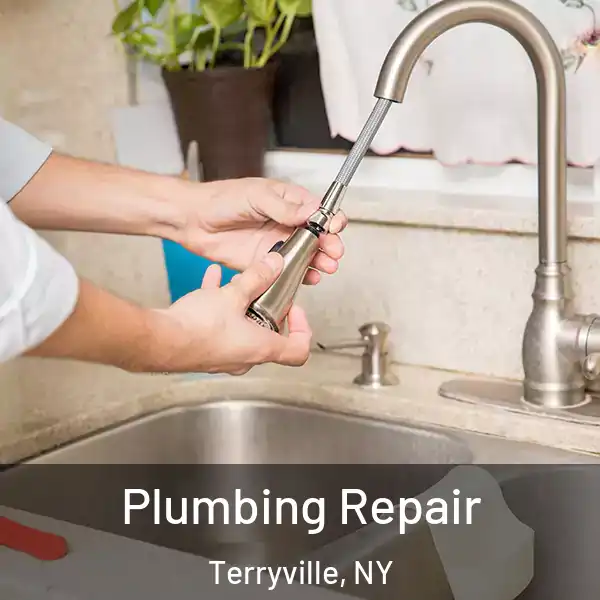  Plumbing Repair Terryville, NY
