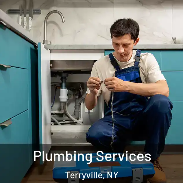  Plumbing Services Terryville, NY
