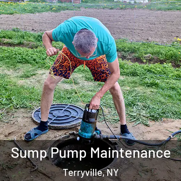  Sump Pump Maintenance Terryville, NY