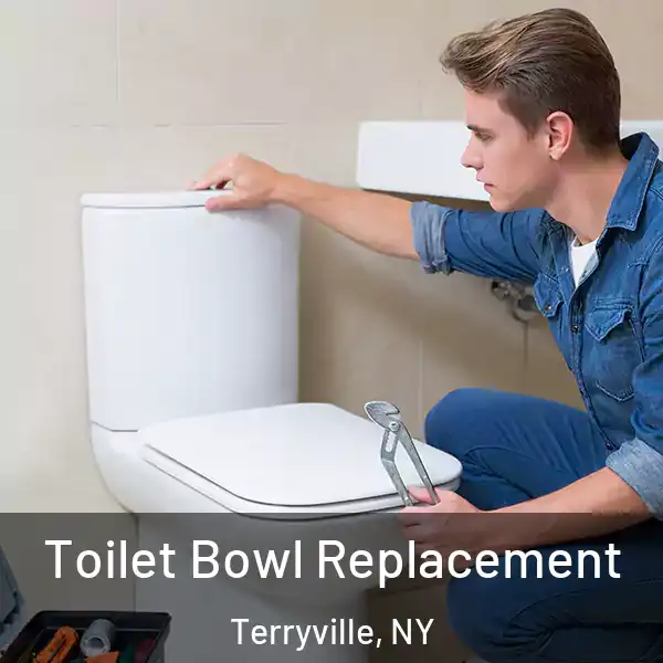 Toilet Bowl Replacement Terryville, NY
