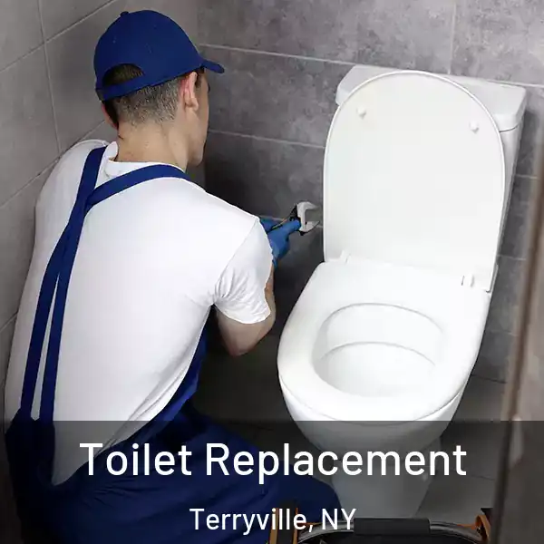  Toilet Replacement Terryville, NY