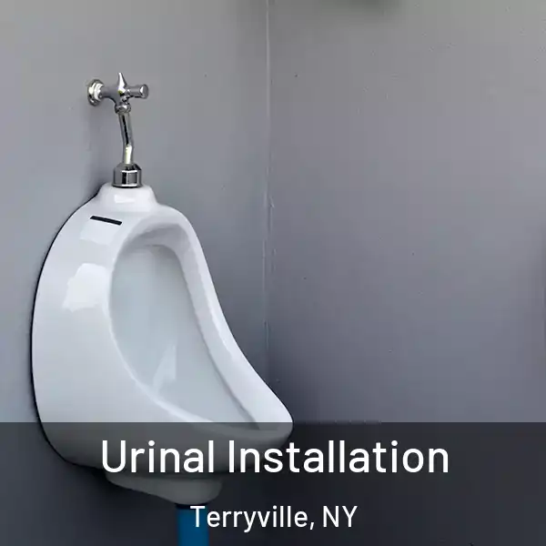  Urinal Installation Terryville, NY