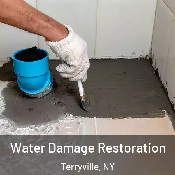  Water Damage Restoration Terryville, NY