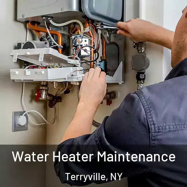  Water Heater Maintenance Terryville, NY