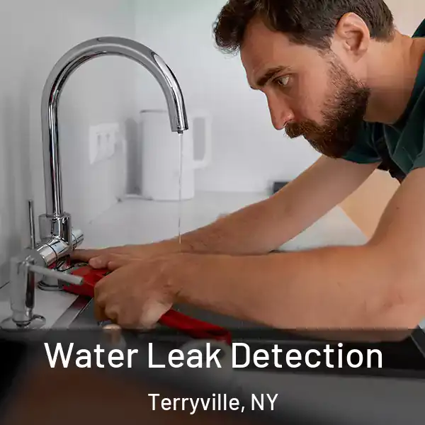  Water Leak Detection Terryville, NY